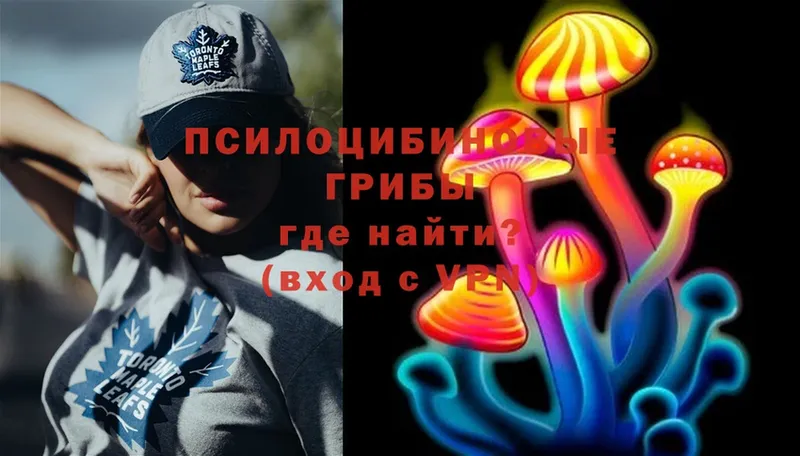 Псилоцибиновые грибы Psilocybine cubensis  hydra сайт  Соликамск  площадка официальный сайт  как найти  